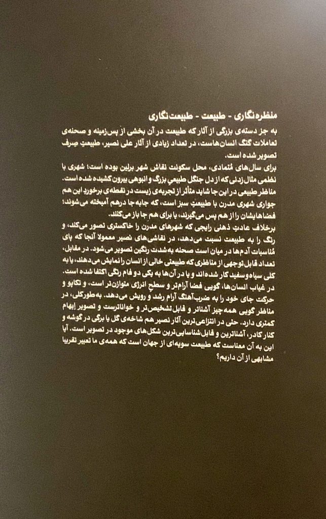 گزارش تصویری از نمایشگاه نقاشی های علی نصیر در گالری لاجوردی 11 IMG 1431 - پایگاه اطلاع رسانی آژنگ
