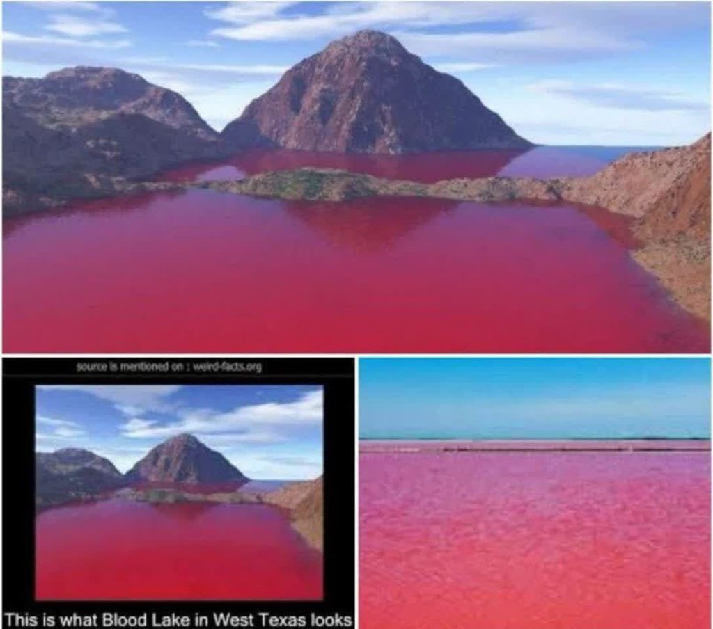 دریاچه خون در تگزاس - پایگاه اطلاع رسانی آژنگ