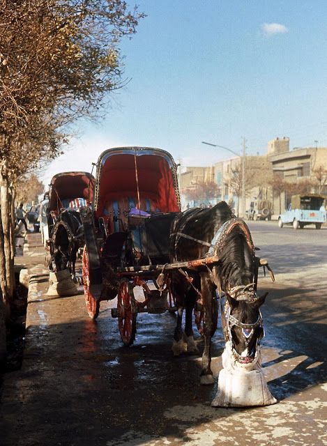 درشکه - پایگاه اطلاع رسانی آژنگ