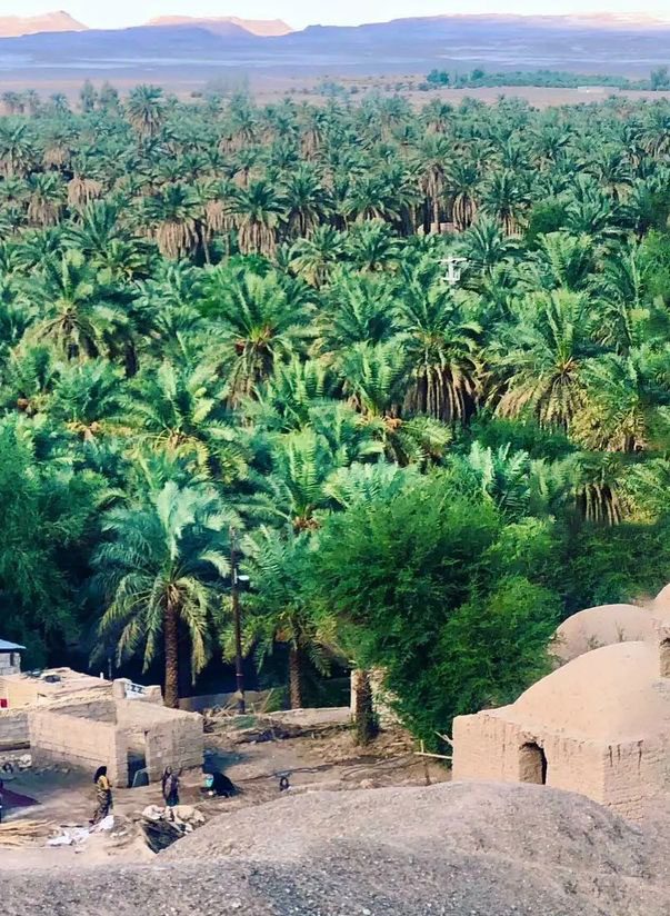 سرسبزی وآب در کویرلوت! 1 کویر1 اوت4 - پایگاه اطلاع رسانی آژنگ