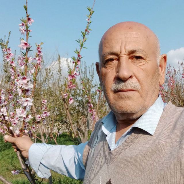 photo 2024 04 04 02 05 10 - پایگاه اطلاع رسانی آژنگ