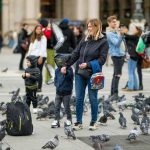 غذا دادن به کبوترها در شهر میلان جرم است