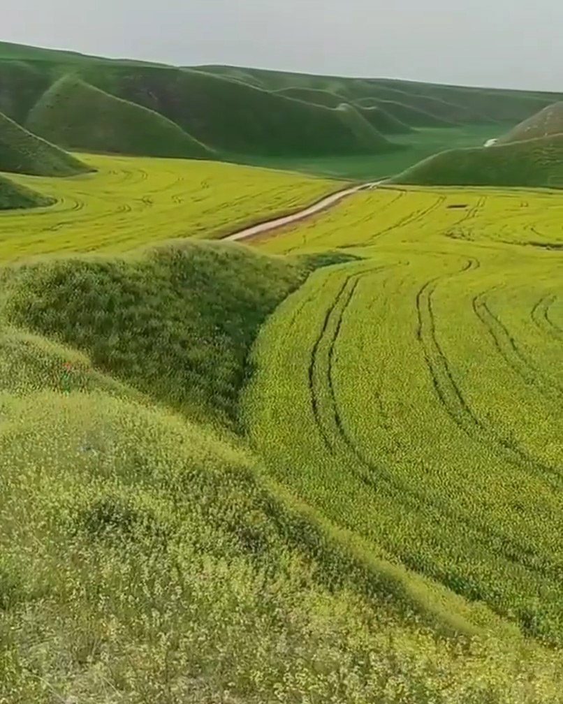 هزار تپه در ترکمن صحرایک اثر طبیعی از دوران باستان 1 هزار دره111 - پایگاه اطلاع رسانی آژنگ