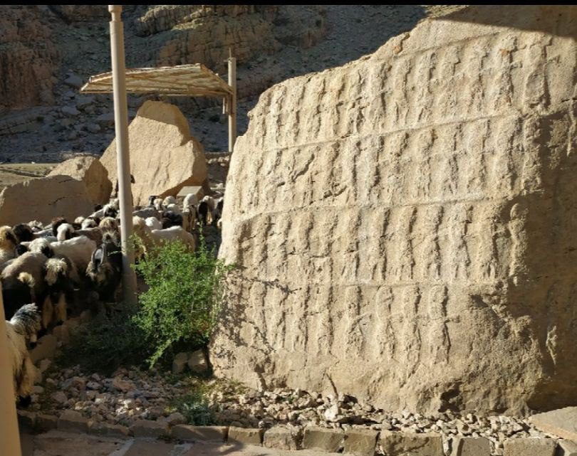 گوسفندان در کنار مجموعه باستانی کتیبه، سنگنگارهها و بقایای معماری کول فره! 1 کول فره - پایگاه اطلاع رسانی آژنگ