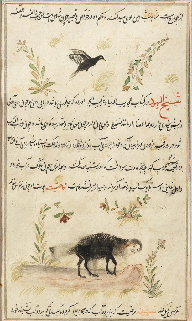 گنجینه نسخه خطی فارسی "عجایب المخلوقات" 1 عجایب المخلوقات - پایگاه اطلاع رسانی آژنگ