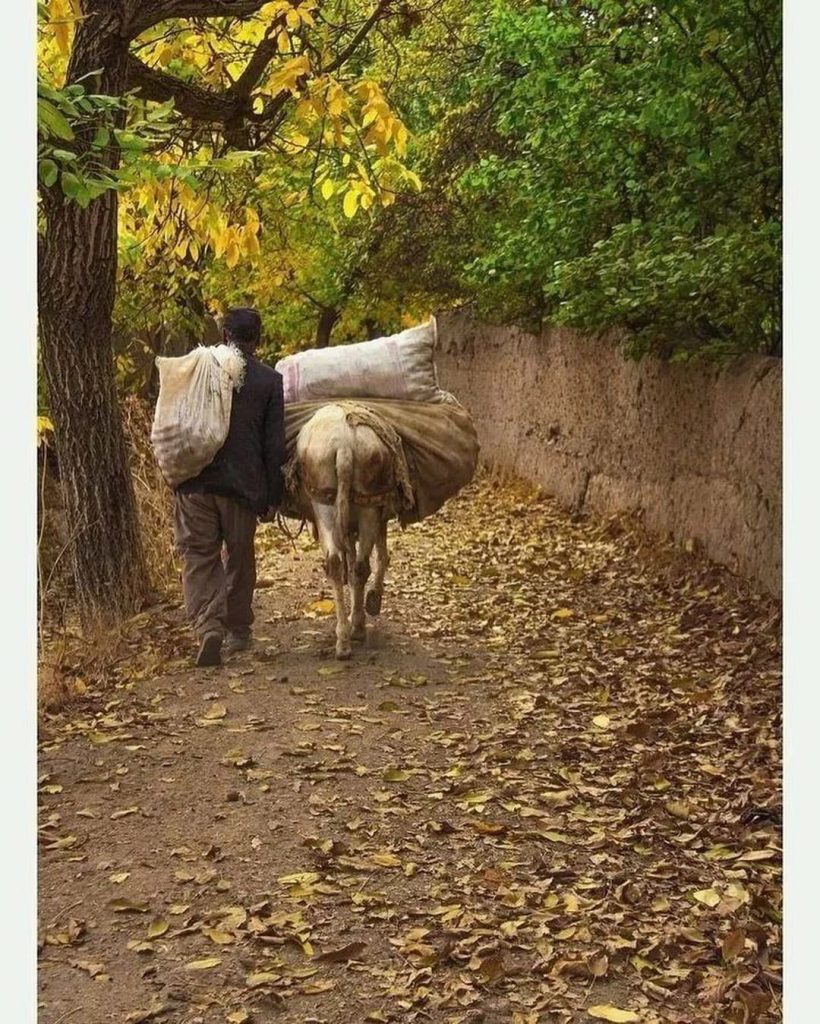 پاییز در کنار سنتهای قدیمی 2 پاییز۱ - پایگاه اطلاع رسانی آژنگ