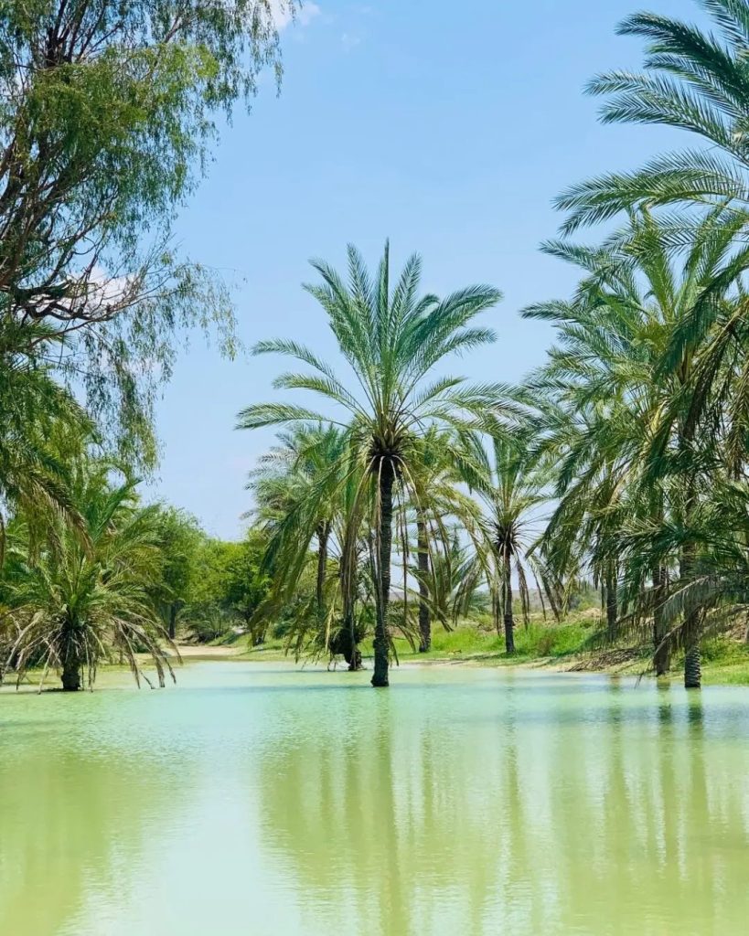 شهرستان زرآباد زیبا و بکر 1 کنتاک - پایگاه اطلاع رسانی آژنگ