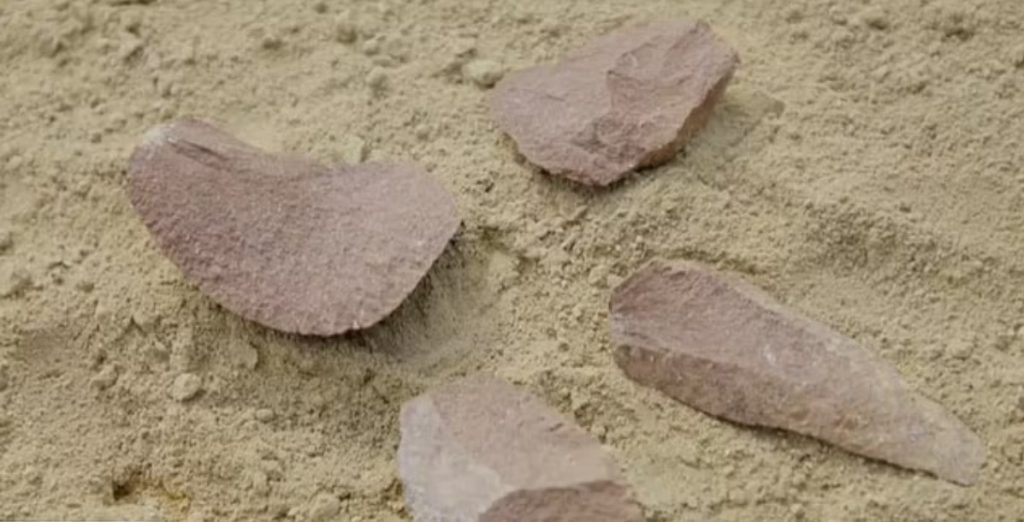 کشف اولین ابزارهای مورد استفاده انسان در"گهواره نوع بشر" 1 ابزار - پایگاه اطلاع رسانی آژنگ