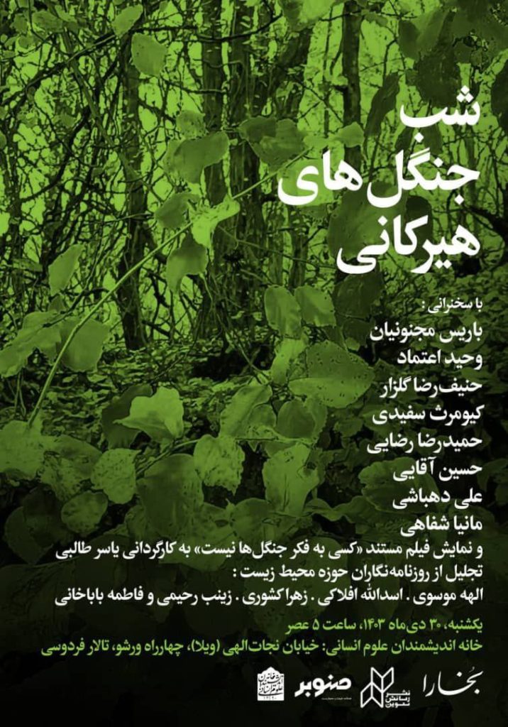 شب جنگل های هیرکانی 1 جنگل - پایگاه اطلاع رسانی آژنگ