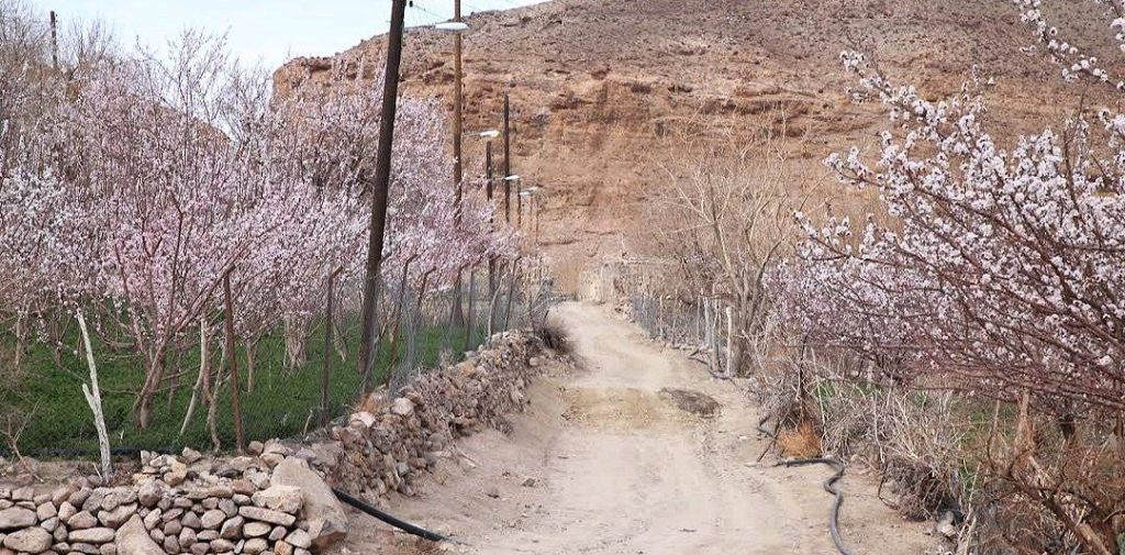 بهار در روستای روپس در تفتان 1 بهار در روستای روپس در کوهپایه تفتان بلوچستان - پایگاه اطلاع رسانی آژنگ