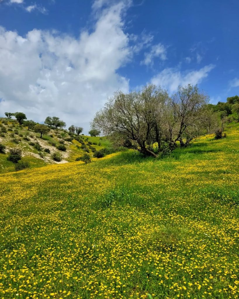 منطقه ناودار کرند غرب پذیرای میهمانان سیزده بدر 1 ناودار - پایگاه اطلاع رسانی آژنگ