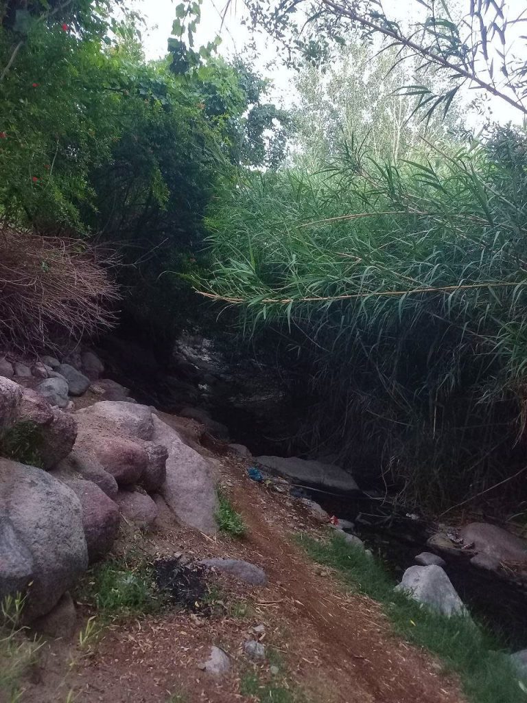 روستای تمین در دامنه تفتان 2 روستای تمین در تفتان - پایگاه اطلاع رسانی آژنگ
