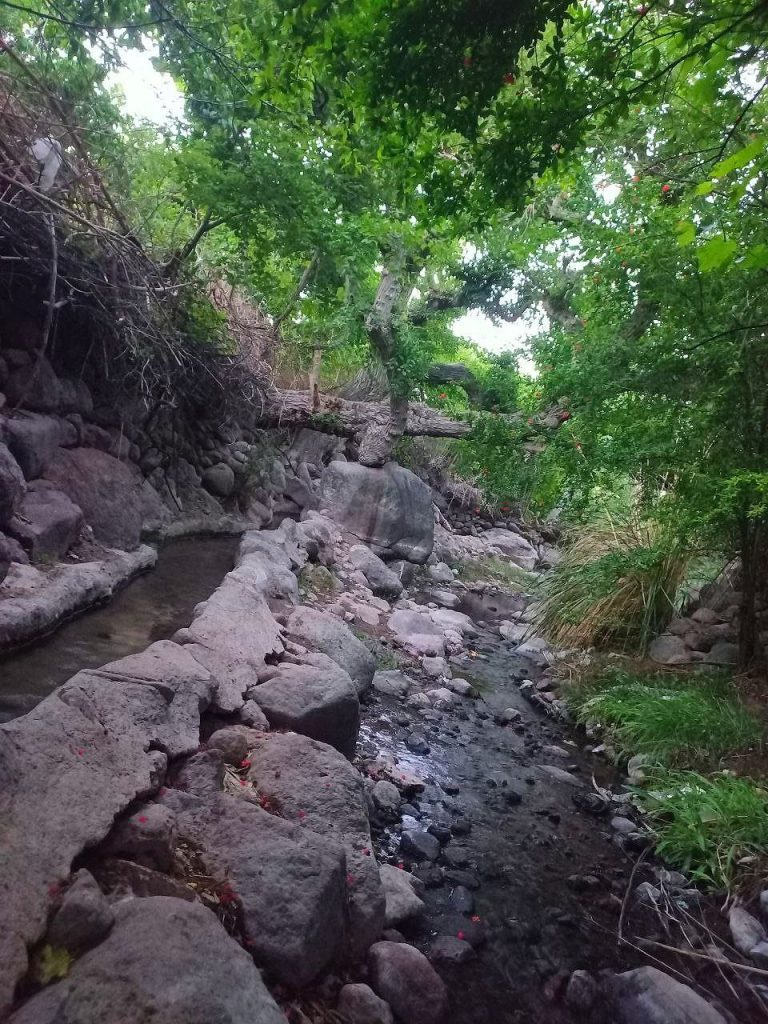 روستای تمین در دامنه تفتان 1 روستای تمین در تفتان۱ - پایگاه اطلاع رسانی آژنگ