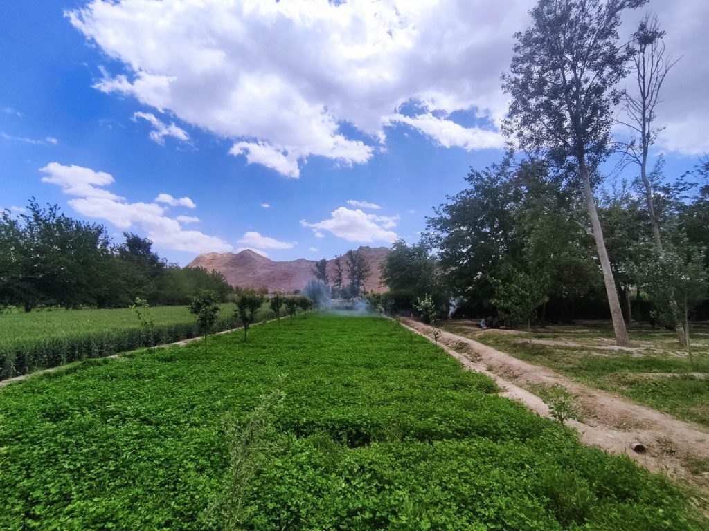 پارک جنگلی ناژوان در حاشیه زایندهرود 1 نازوان۱ - پایگاه اطلاع رسانی آژنگ