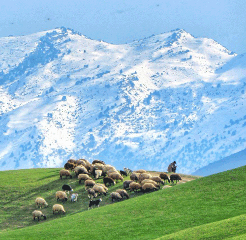 درگز ترکیب طبیعت بکر با تاریخی با تاریخ هفت هزارساله 1 درگز شمال خراسان رضوی - پایگاه اطلاع رسانی آژنگ