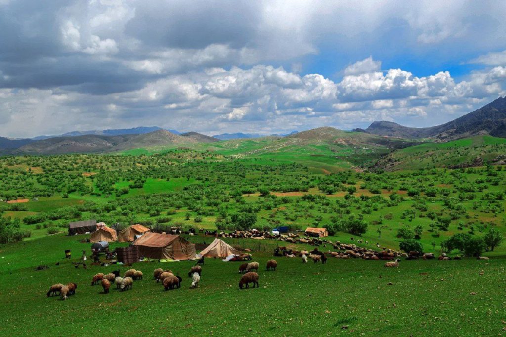کوههای زاگرس ترکیب طبیعت و تاریخ 1 زاگرس فرهاد کولیوند - پایگاه اطلاع رسانی آژنگ
