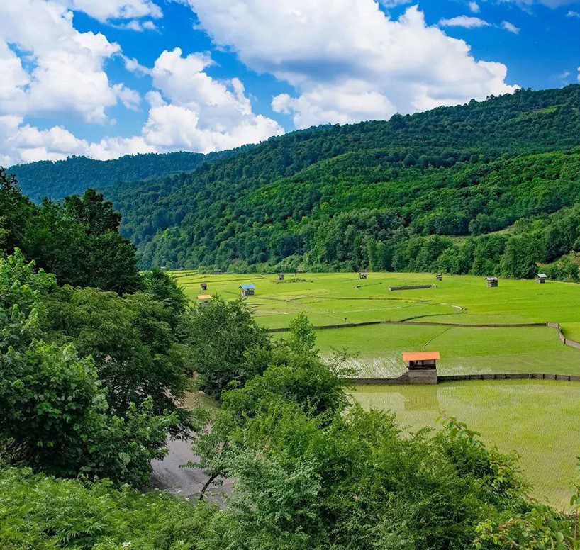 روستای امیرکلا؛ برنج و جنگل 1 امیرکلا در سواد کوه - پایگاه اطلاع رسانی آژنگ