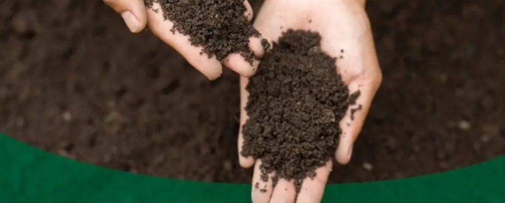 میکروارگانیسمهای یک قاشق چایخوری خاک بیشتراز تعداد کل انسانهای روی کره زمین ! 1 خاک - پایگاه اطلاع رسانی آژنگ