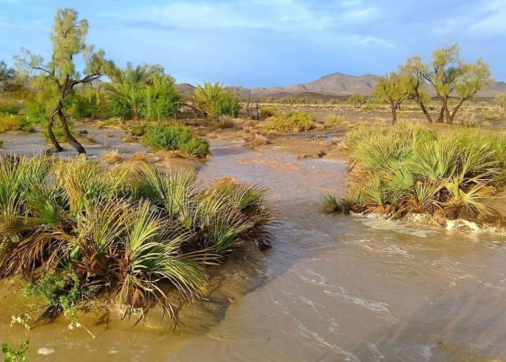 منطقه حفاظتشده رشتهکوه بیرْک در شهرستان سیب و سوران 1 سیب و سورک۱ - پایگاه اطلاع رسانی آژنگ