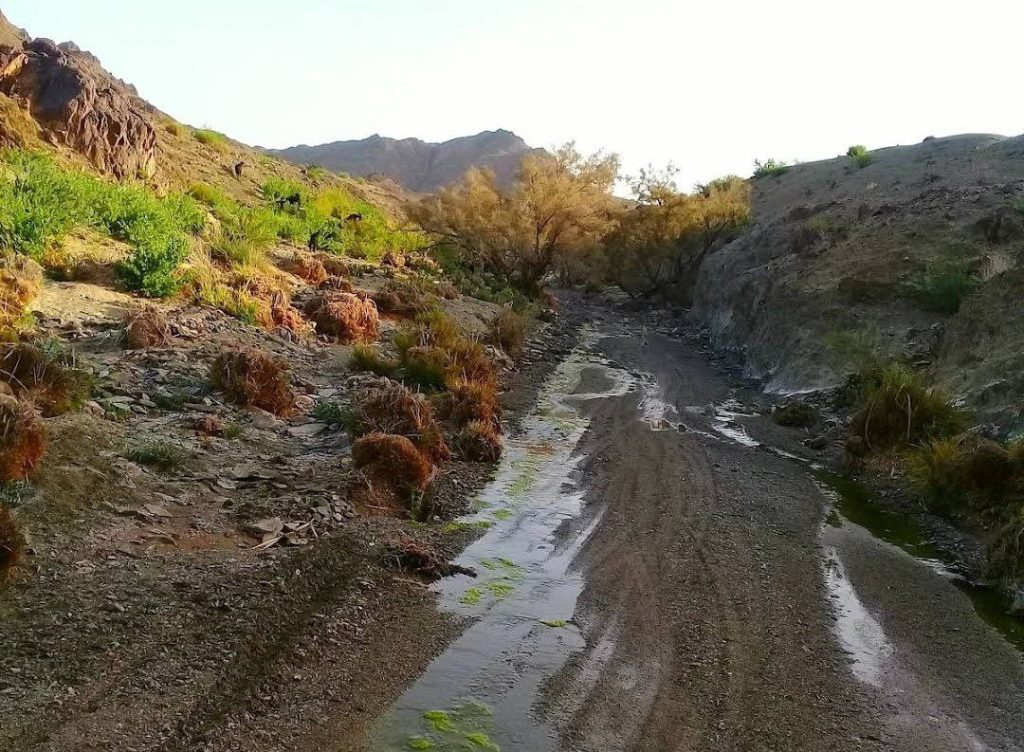 منطقه حفاظتشده رشتهکوه بیرْک در شهرستان سیب و سوران 2 سیب و سورک۲ - پایگاه اطلاع رسانی آژنگ