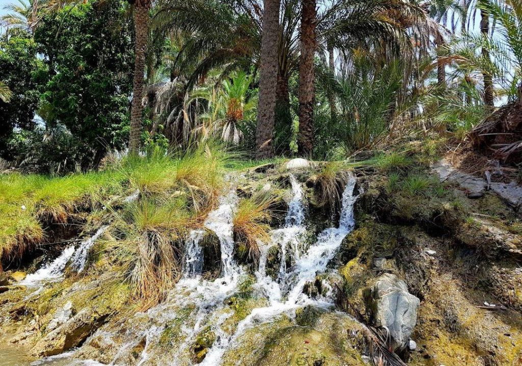 روستای هیچان در نیک شهر با طبیعت زیبا و دلپذیر 2 هیچان نیک شهر۱ - پایگاه اطلاع رسانی آژنگ