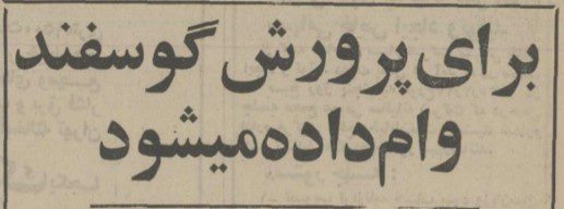 تقویم تاریخ ایران،امروز۴شهریور ماه 1 گوسفند - پایگاه اطلاع رسانی آژنگ