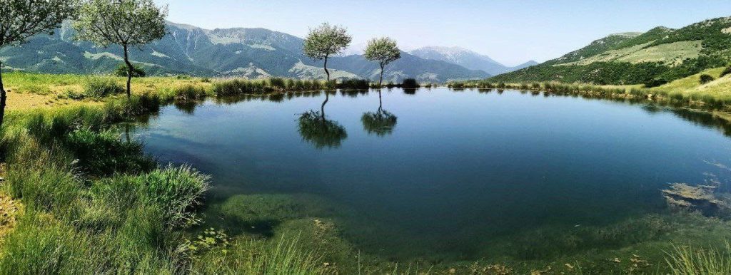 برکه شاهدژ نماد آرامش در طبیعت بکر 1 برکه شاهدژ روستای بالاده ساری - پایگاه اطلاع رسانی آژنگ