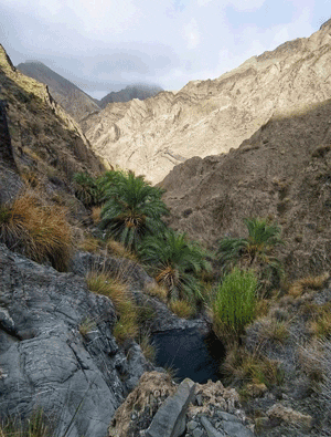 برکه و بیشه روستای پیردان - پایگاه اطلاع رسانی آژنگ