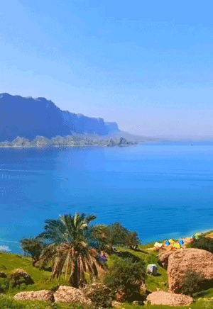 شه یون - پایگاه اطلاع رسانی آژنگ