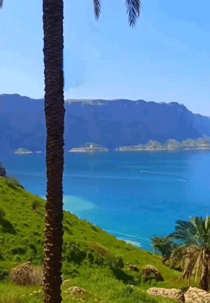 شهیون ۱ - پایگاه اطلاع رسانی آژنگ