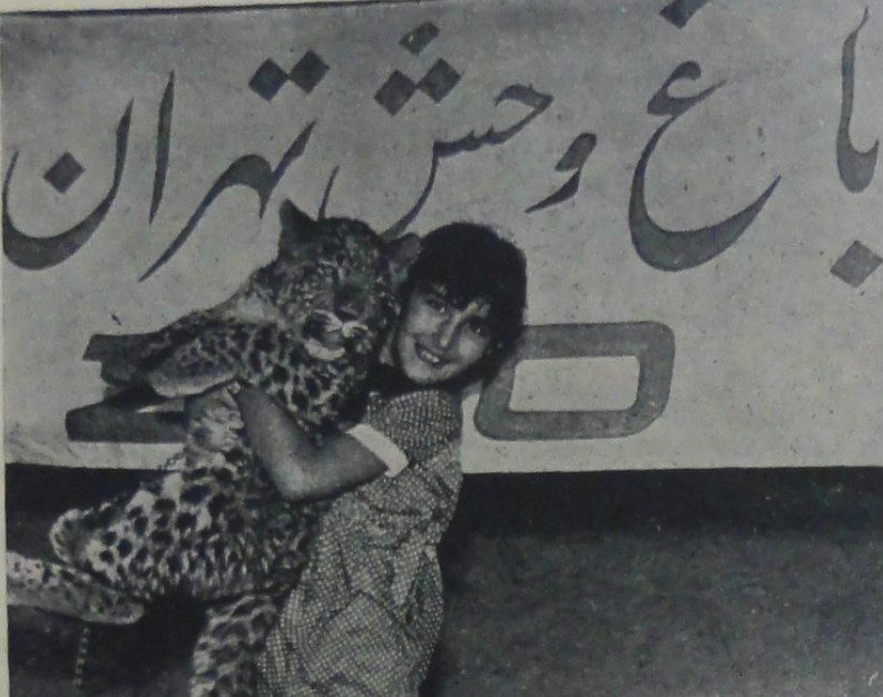 داستان زمینه سازی ساخت باغ وحش تهران 1 باغ عکس - پایگاه اطلاع رسانی آژنگ