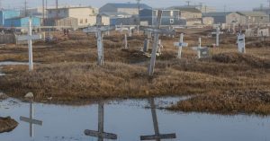 کشف حیات باستانی که ۴۰ هزار سال در آلاسکا منجمد شده بود