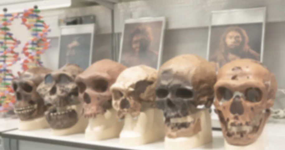 نتیچه تزریق ژنهای نئاندرتال و دنیسووا به موشها! 1 ژن ها - پایگاه اطلاع رسانی آژنگ