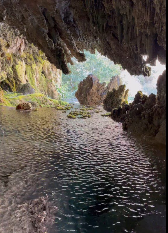 آنا هیتا - پایگاه اطلاع رسانی آژنگ