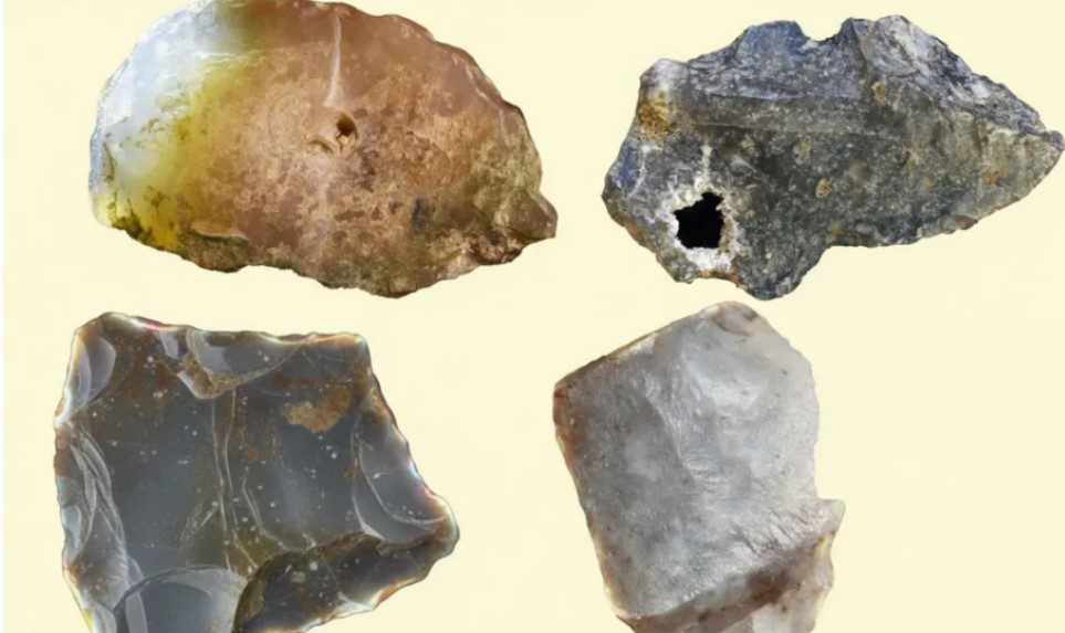 انسانهای اولیه مخترع بودهاند 1 اختراع - پایگاه اطلاع رسانی آژنگ