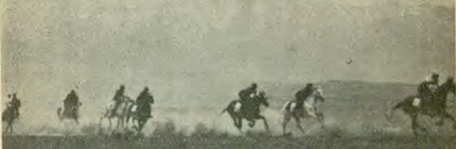 تاریخچه تاسیس مؤسسه شرط بندی اسب دوانی 3 اسب دوانی تصویر ۱ - پایگاه اطلاع رسانی آژنگ