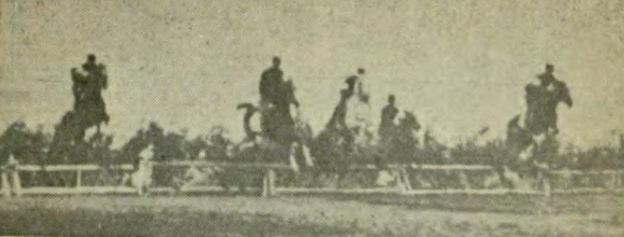 تاریخچه تاسیس مؤسسه شرط بندی اسب دوانی 1 اسب دوانی تصویر - پایگاه اطلاع رسانی آژنگ