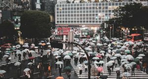 مشکل تکامل انسان و دنیای مدرن