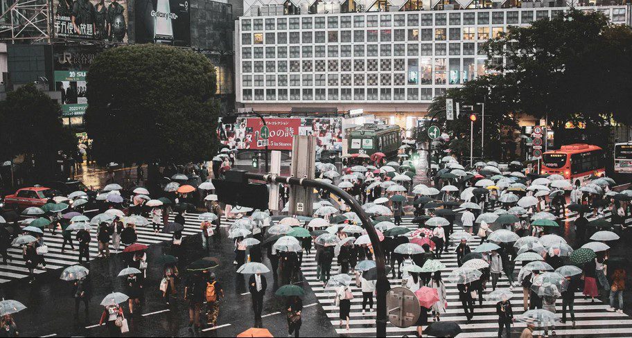 تکامل - پایگاه اطلاع رسانی آژنگ