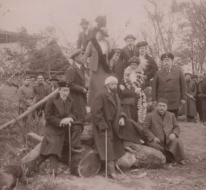 کارخانه چوب بری خوشتاریا در انزلی آغاز تخریب جنگل