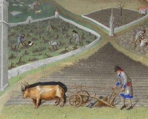 جزییات زندگی دهقانی در یک عمارت قرون وسطایی