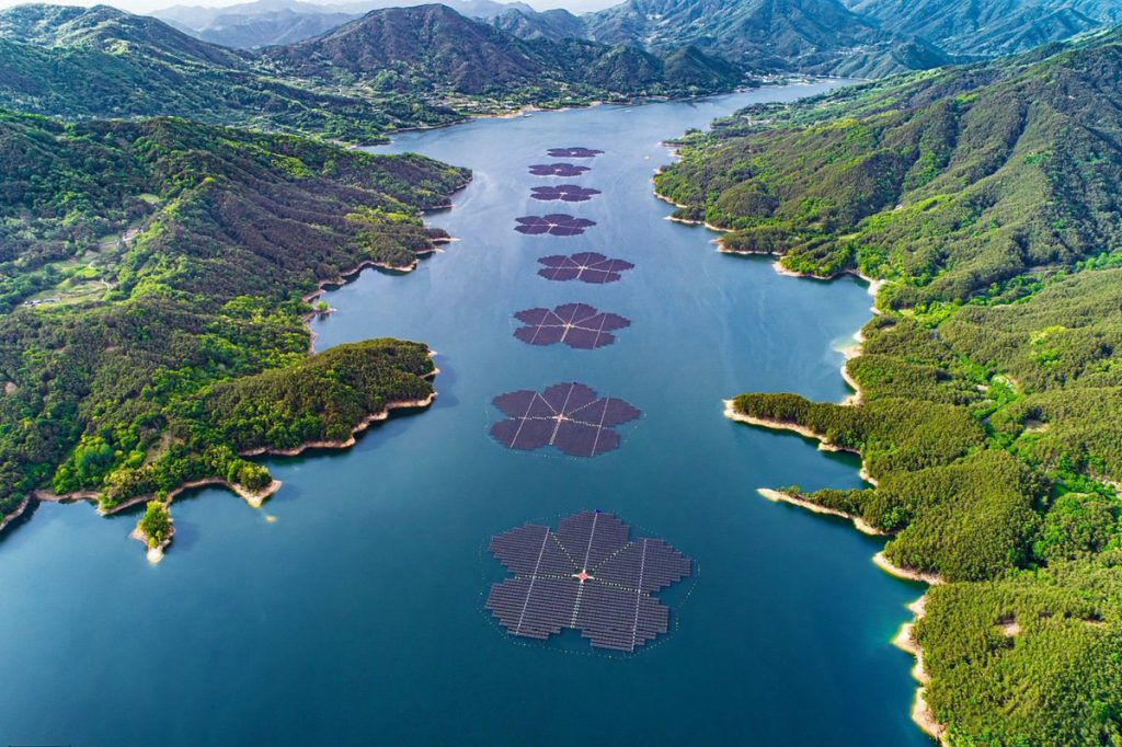 شکوفه - پایگاه اطلاع رسانی آژنگ