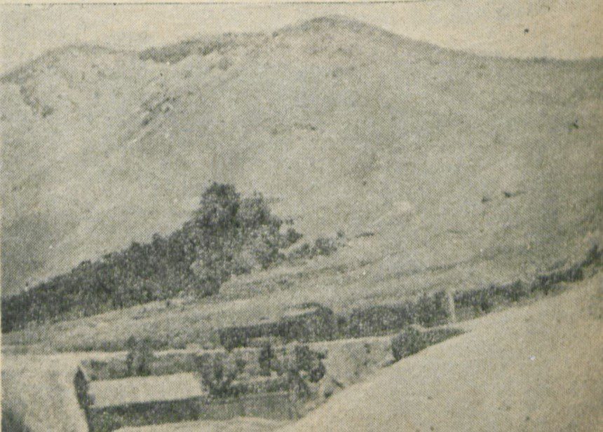 تاریخچه تبدیل فرحزاد از دره پریان به مسکن انبوده آدمیان! 1 فرجزاد پل ذوالفقار و جاده امامزاده داوود در فرحزاد - پایگاه اطلاع رسانی آژنگ