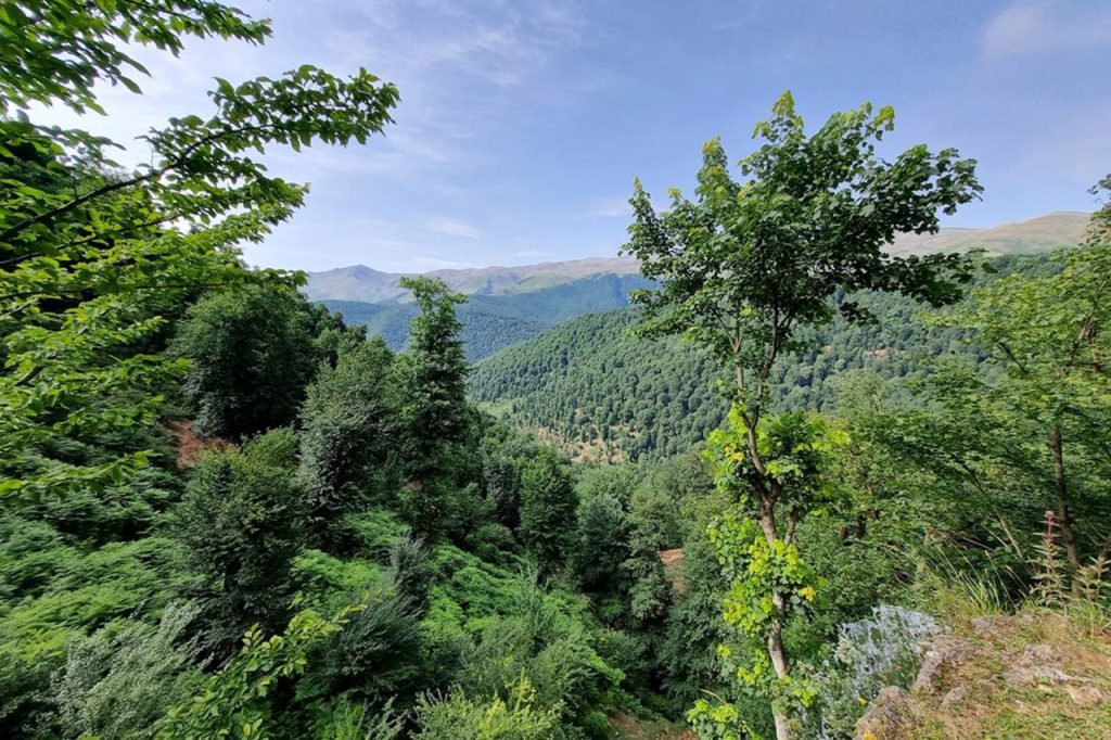 هیرکانی - پایگاه اطلاع رسانی آژنگ