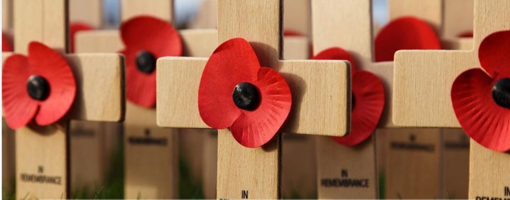 گل خشخاش - پایگاه اطلاع رسانی آژنگ