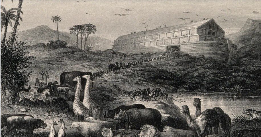 آسگاردی - پایگاه اطلاع رسانی آژنگ