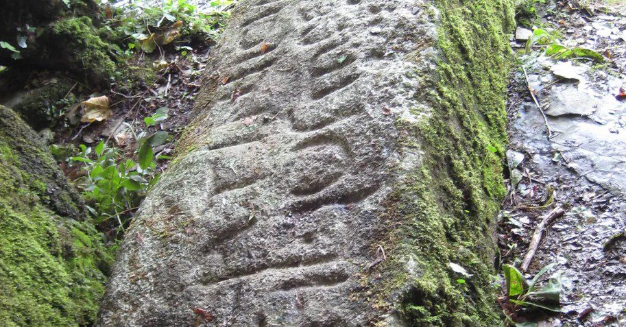 الفبا - پایگاه اطلاع رسانی آژنگ