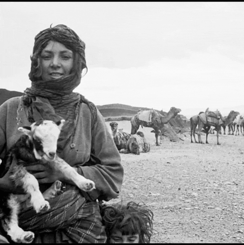 اینگه oooooooooooدر ایران - پایگاه اطلاع رسانی آژنگ