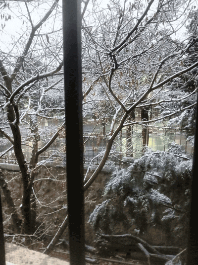 بارش برف از آسمان سرزمین ایران 2 برف شهرcccک شهید محلاتی - پایگاه اطلاع رسانی آژنگ