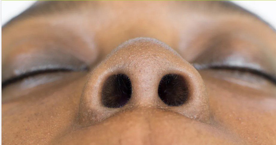 بینی - پایگاه اطلاع رسانی آژنگ